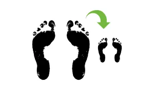 Carbon Reduction Plan