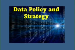Data Policy and Strategy