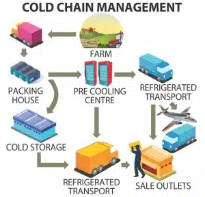 Cold Chain Management