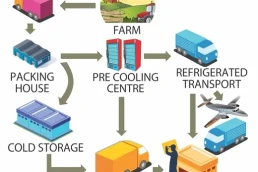Cold Chain Management