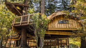 Rewilding Your Workplace