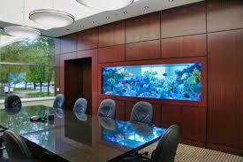 Rewilding Your Workplace