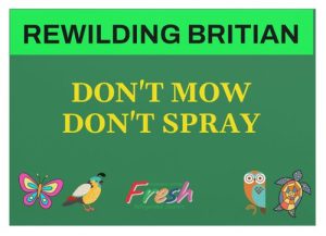Rewilding Your Workplace