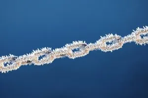 Cold Chain