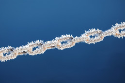Cold Chain