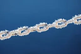 Cold Chain