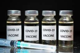Cold chain vaccine